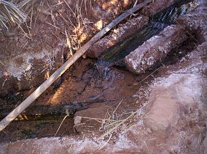 TIMIMOUN DECEMBRE 2004 N031 AVEC DES SEGUIAS D IRRIGATION